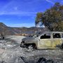 
A legfrissebb adatok szerint már 631 embert tartanak nyilván eltűntként Kaliforniában a napok óta tomboló tűzvész miatt, és 65 halálos áldozat van. 