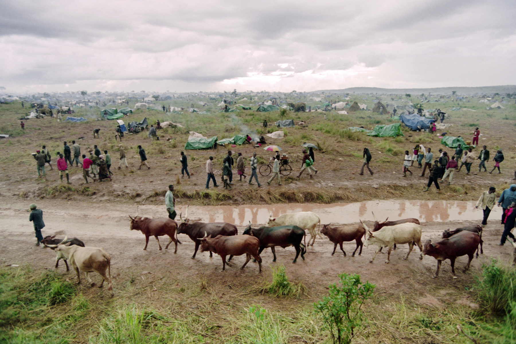 A béke persze az egységkormány létrejötte után még nem állt helyre: a tuszik elleni népirtás után hutuk százezrei menekültek el az országból, ráerősítve a szomszédos Burundiban is zajló hutu-tuszi háborúra. Az 1995-ös képen már Burundi egyik menekülttáborából menekülnek a hutuk Tanzániába, ahova egy évvel korábban még tuszik százezrei menekültek.
