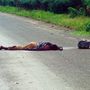 Tuszi nő holtteste Kigali utcáján május 12-én. Ekkor már 250-500 ezer civil áldozatról beszéltek, de mindez szinte mellékesen derült ki a magyar sajtóban, ahol kevés kép jelent meg a szörnyűségekről a mészárlás száz napja alatt.