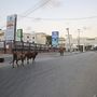 Tehenek is nyugodtan sétálnak egyedül a szomáliai Mogadishhu üres utcáin 2020. április 6-án