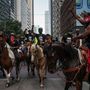 Lóháton is tüntettek Houstonban