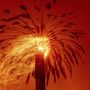 Lángoló pálmafa a kaliforniai St. Helena település közelében pusztító erdőtűz helyszínén 2020. szeptember 27-én.