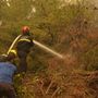 Szerb tűzoltók és önkéntesek küzdenek a lángok megfékezésén a görögországi Évia-szigeten fekvő Kamaria közelében
