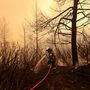 Egy tűzoltó próbálja eloltani a tüzet Évia-szigetén