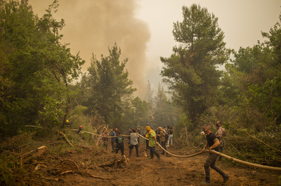 Tűzoltók egy csoportja próbálja eloltani a tüzet Évia-szigetén