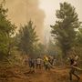 Tűzoltók egy csoportja próbálja eloltani a tüzet Évia-szigetén