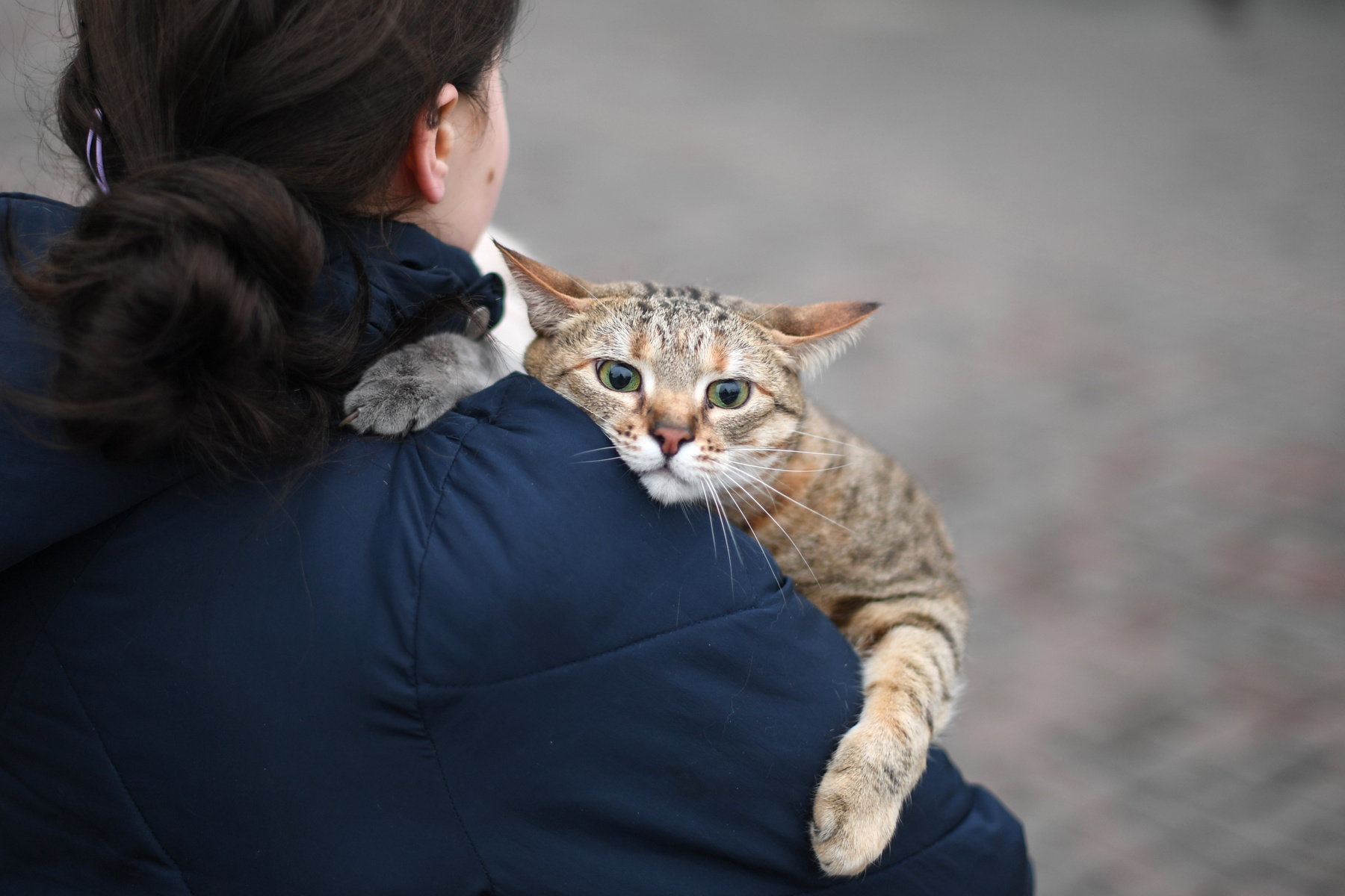 Egy macskájával a kijevi Kijiv-Paszazsirszkij vasútállomás közelében 2022. február 24-én