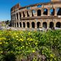 Egy virágmező a Colosseumnál, Rómában 2023. március 21-én