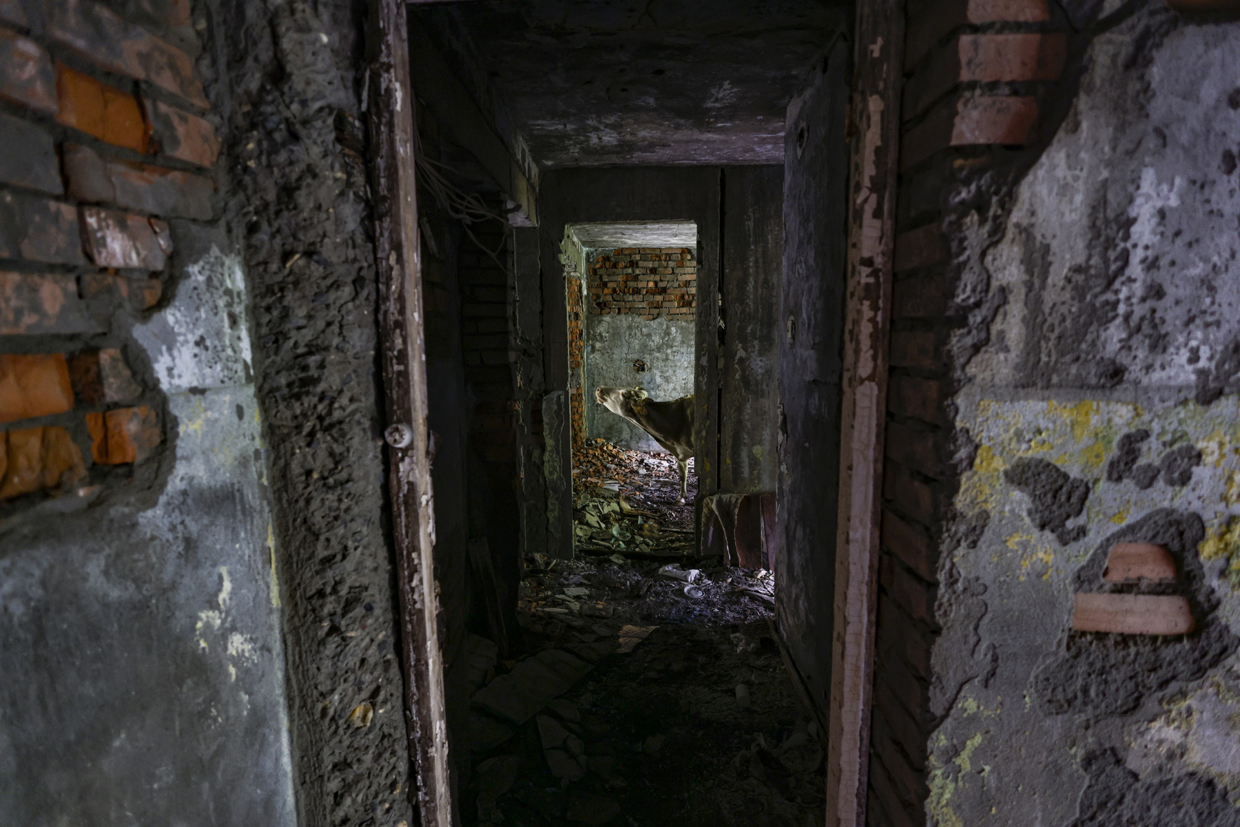 Drónfelvétel romos lakóépületekről