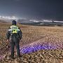 A parti őrség járőrözik a dél-koreai Kangnung tengerpartján a szökőár veszély miatt