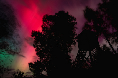 Nikola-Lenivets, Oroszország