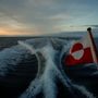 Egy grönlandi zászló lobog egy hajó hátulján Nuuk közelében, Grönlandon 2025. február 9-én