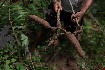 Raquel Quirino de Oliveira, bába tartja újszülött unokahúgát, Mavit Tefében, Brazíliában 2024. október 19-én
