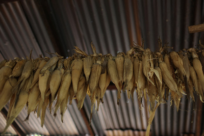 Raquel Quirino de Oliveira, bába tartja újszülött unokahúgát, Mavit Tefében, Brazíliában 2024. október 19-én