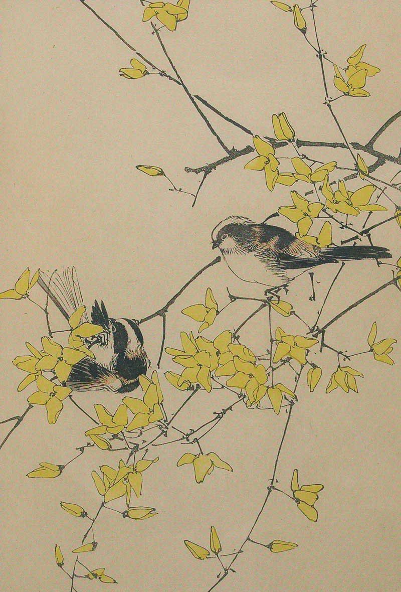 Kóno Bairei: madár-virág kompozíciók