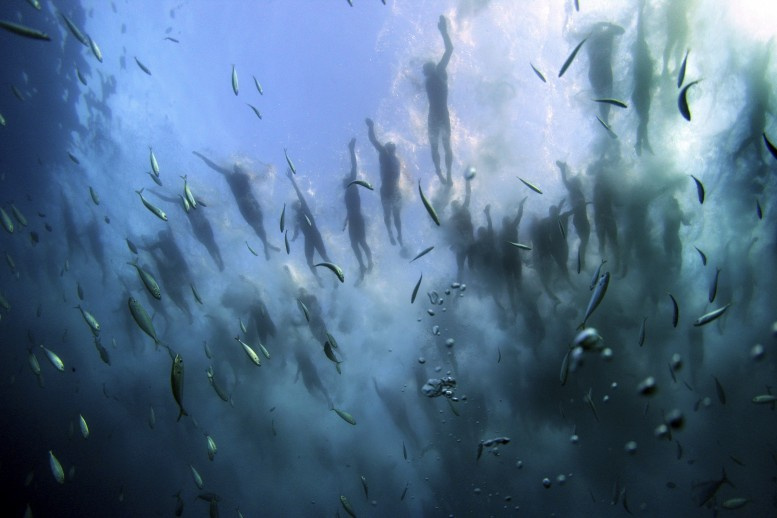 3. díj, Sport kategória, egyedi