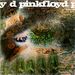 Pink Floyd - A Saucerful of Secrets