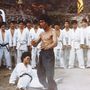 Bruce Lee a 70-es évek elejére már kifejlesztette az egyedi harcművész stílusát, többek között a filmjeiben is bemutatott, legendás „egyinches ütést”.