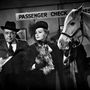 Berry Kroeger, Gábor Zsazsa és a Mister Ed nevű ló a 60-as évek egyik népszerű vígjátéksorozatában, a Mister Edben