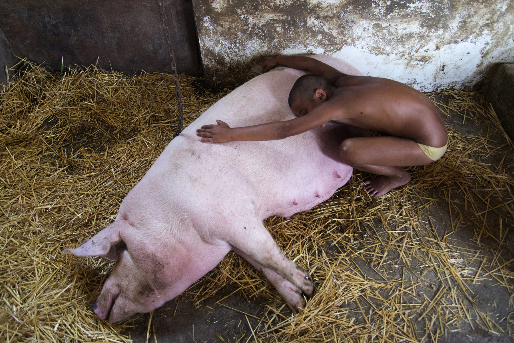 Társadalomábrázolás, dokumentarista fotográfia (sorozat) harmadik helyezett:Egy hétig azt csinálunk, amit csak akarunk