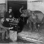 1925-ben a rádió sugárzott cirkuszi előadást