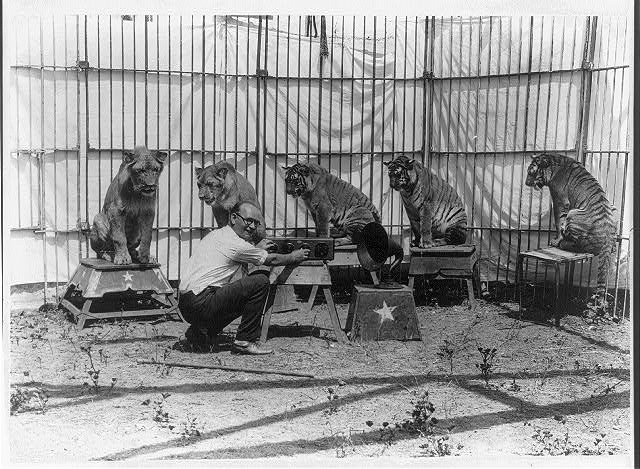 A Cambell cirkusz a Montana állambeli Planis környékén 1910-ben