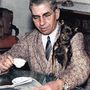Charles 'Lucky' Luciano szicíliai születésű amerikai maffiózó, őt nevezik a modern szervezett bűnözés atyjának. Ő volt az, aki New Yorkot öt család maffiacsaládra osztotta fel és megszervezte a hálózatot vezető igazgatói tanácsot. A Time magazin szerint Luciano egyike volt a 20. század legnagyobb 20 lángelméjének.