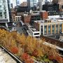 High Line Park New York-ban