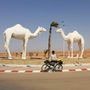 Tantan, Marokkóban. Az óriás műtevék mellett többször láttak valódi tevéket is a sivatagban