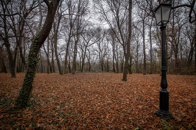 A Brunszvik Teréz Óvodát 1883-ban alapította a Brunszvik család Martonvásáron.