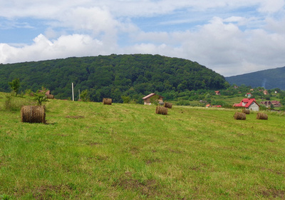 A Segesvári-erdő kelet felől