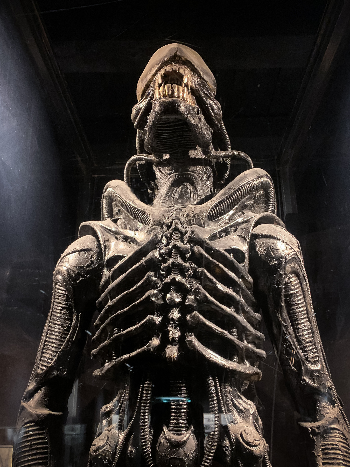 H.R. Giger portréja