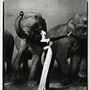 Richard Avedon - Dovima with elephants