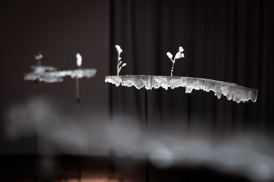 Szabó Nóra munkái a Tanulni a természettől? – Botanika című kiállításon