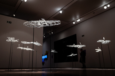 Szabó Nóra munkái a Tanulni a természettől? – Botanika című kiállításon