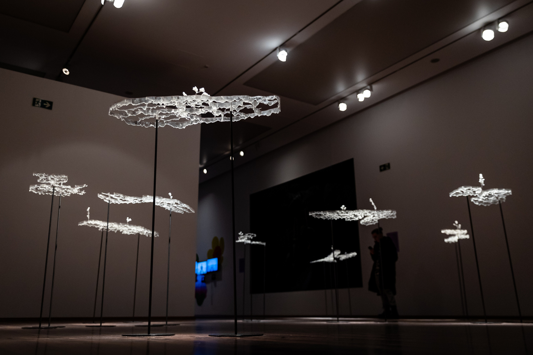 Szabó Nóra munkái a Tanulni a természettől? – Botanika című kiállításon