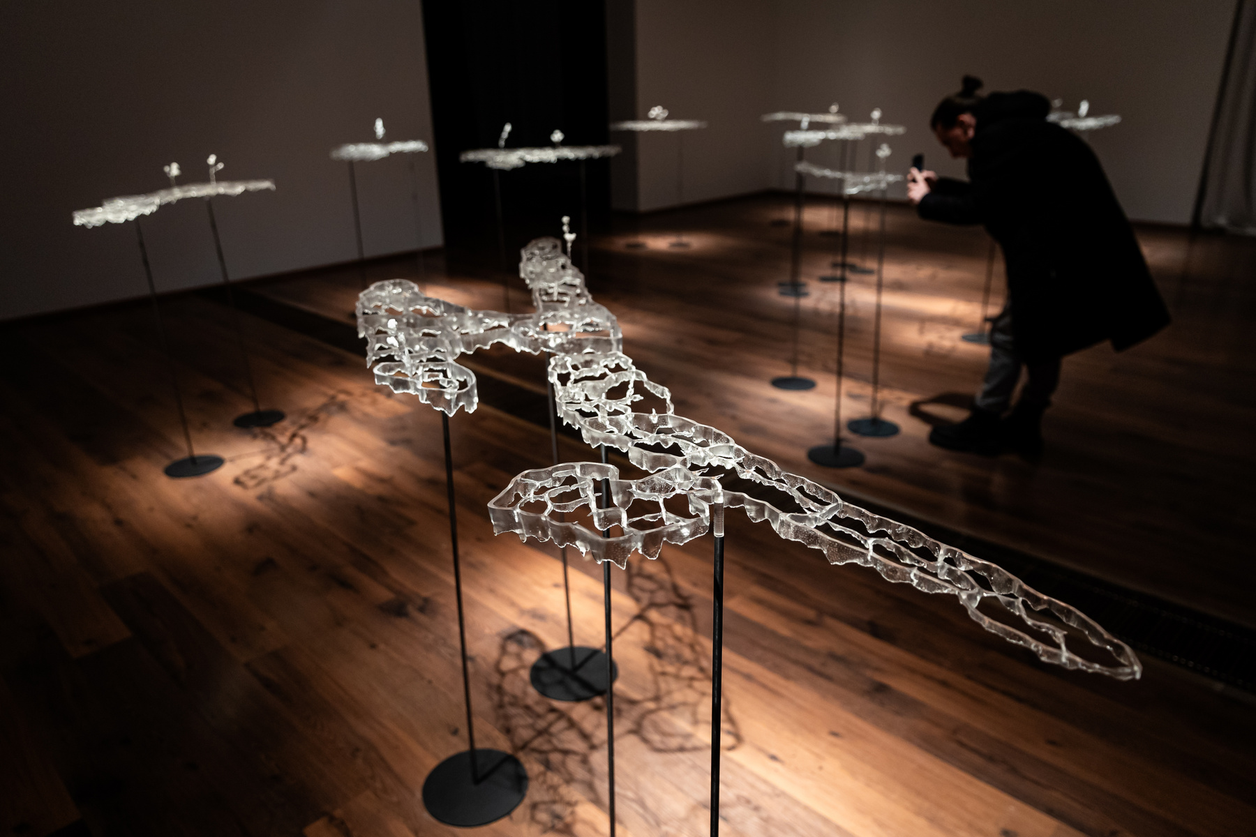 Szabó Nóra munkái a Tanulni a természettől? – Botanika című kiállításon