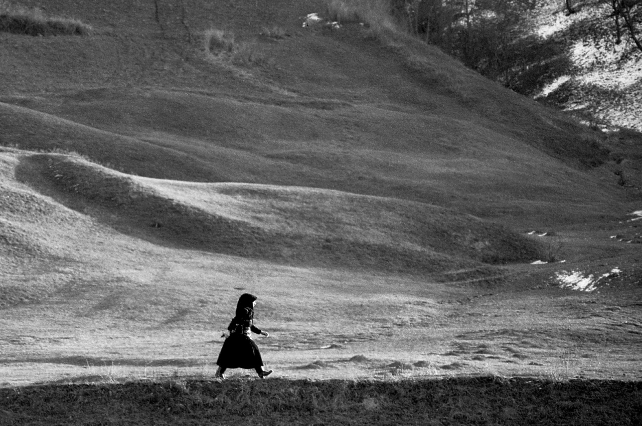 Betlehemesek a lakótelepen, 2010.