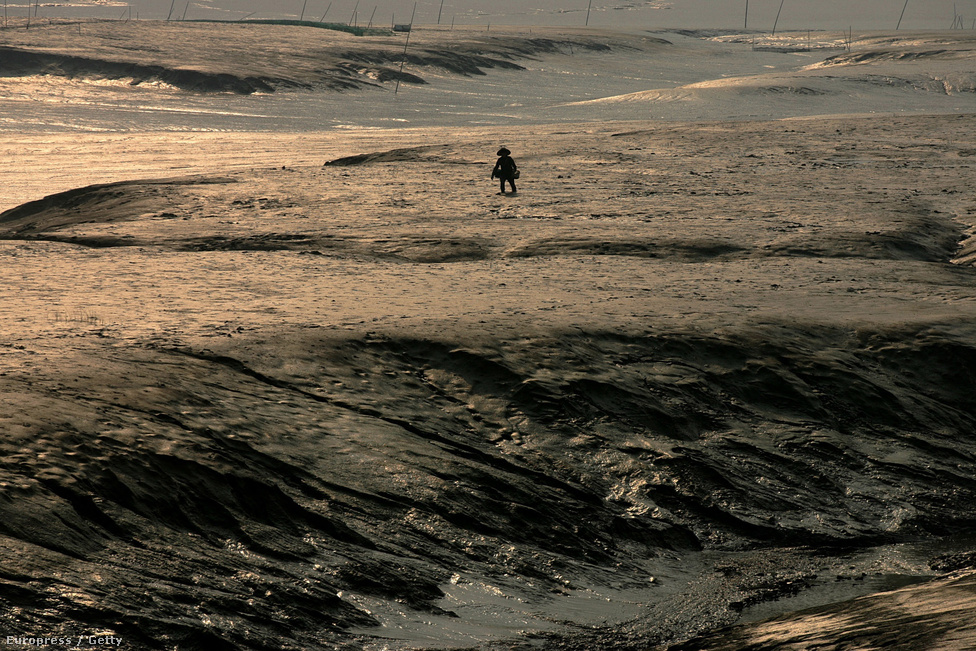 Magányos halász a Mekongon, melynek vízállása az elmúlt években sorra évtizedes negatív rekordokat döntöget. Kína délkeleti területeiről indulva keresztülfolyik  Thaiföldön, Laoszon, Kambodzsán és Vietnamon, majd a Dél-kínai-tengerbe ömlik. Nem csak Kína, de az egész térség életét meghatározza, mennyi víz folyhat még le rajta.
