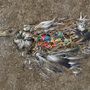 Felcsipegetett műanyag alkatrészek kerültek elő egy bomlásnak indult madár teteméből.