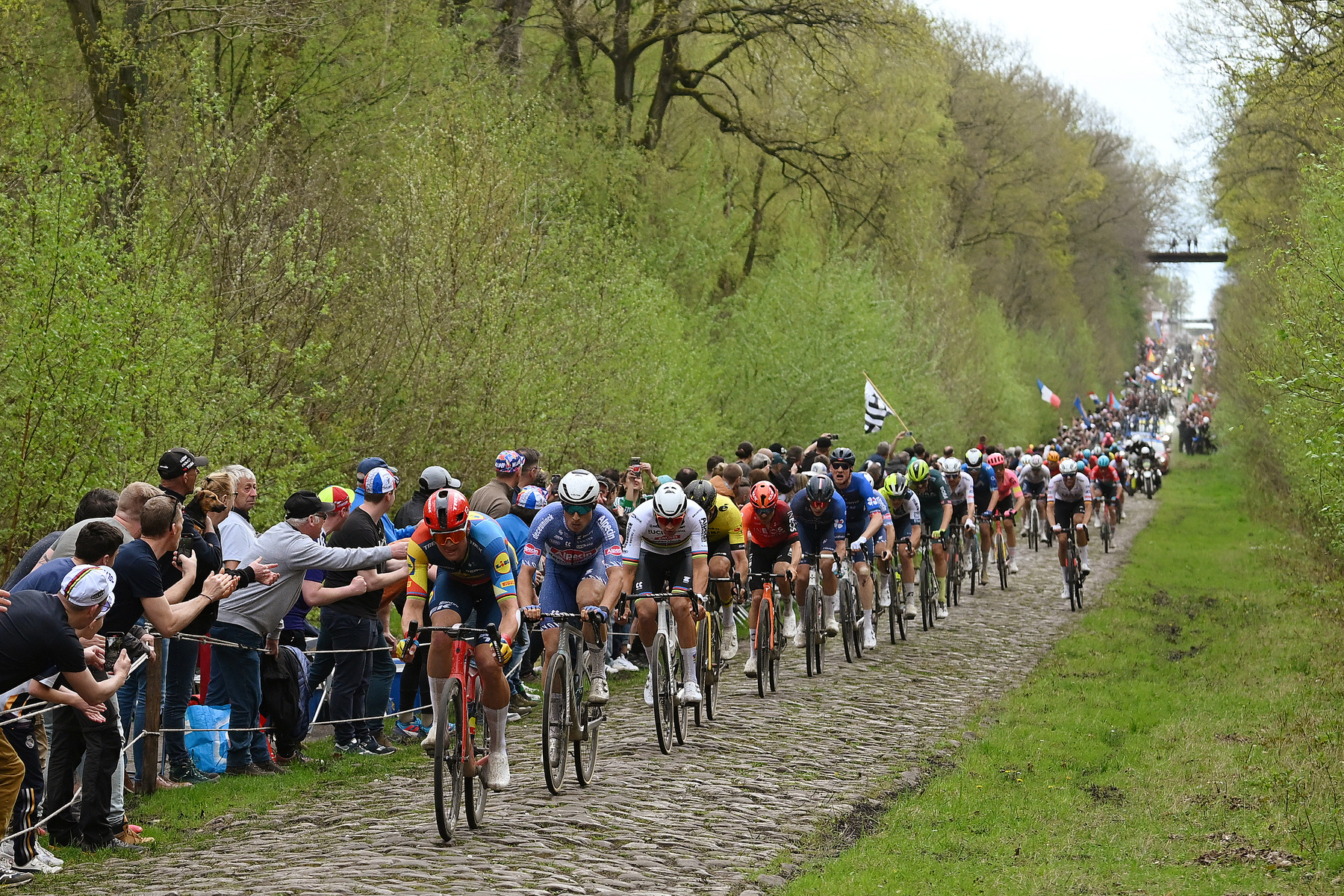 Mathieu van der Poel 2023 után immáron világbajnokként nyeri a Paris-Roubaix-t a híres velodromban