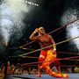 Hulk Hogan 2009. november 21-én