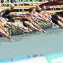 A rajtolnak a versenyzők a női 5 kilométeres nyíltvízi úszás versenyszámának döntőjében 