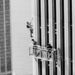 1977. május 26-a. George Willing megmássza a Világkereskedelmi Központ déli tornyát.