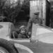 Sir Malcom Campbell és fia, 1933-ban. A jármű a Bluebird, Campbell pedig a korábbi, 408,6 kilométeres óránkénti sebességrekord megdöntésére készül.