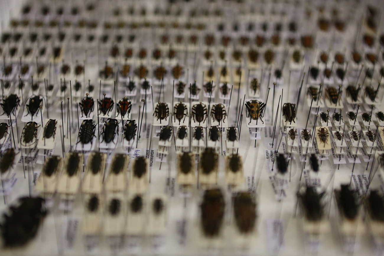 Záróra délután háromkor lesz a Kispesti Munkásotthon Művelődési Házban