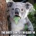 A koalák vegetáriánusok szerencsére