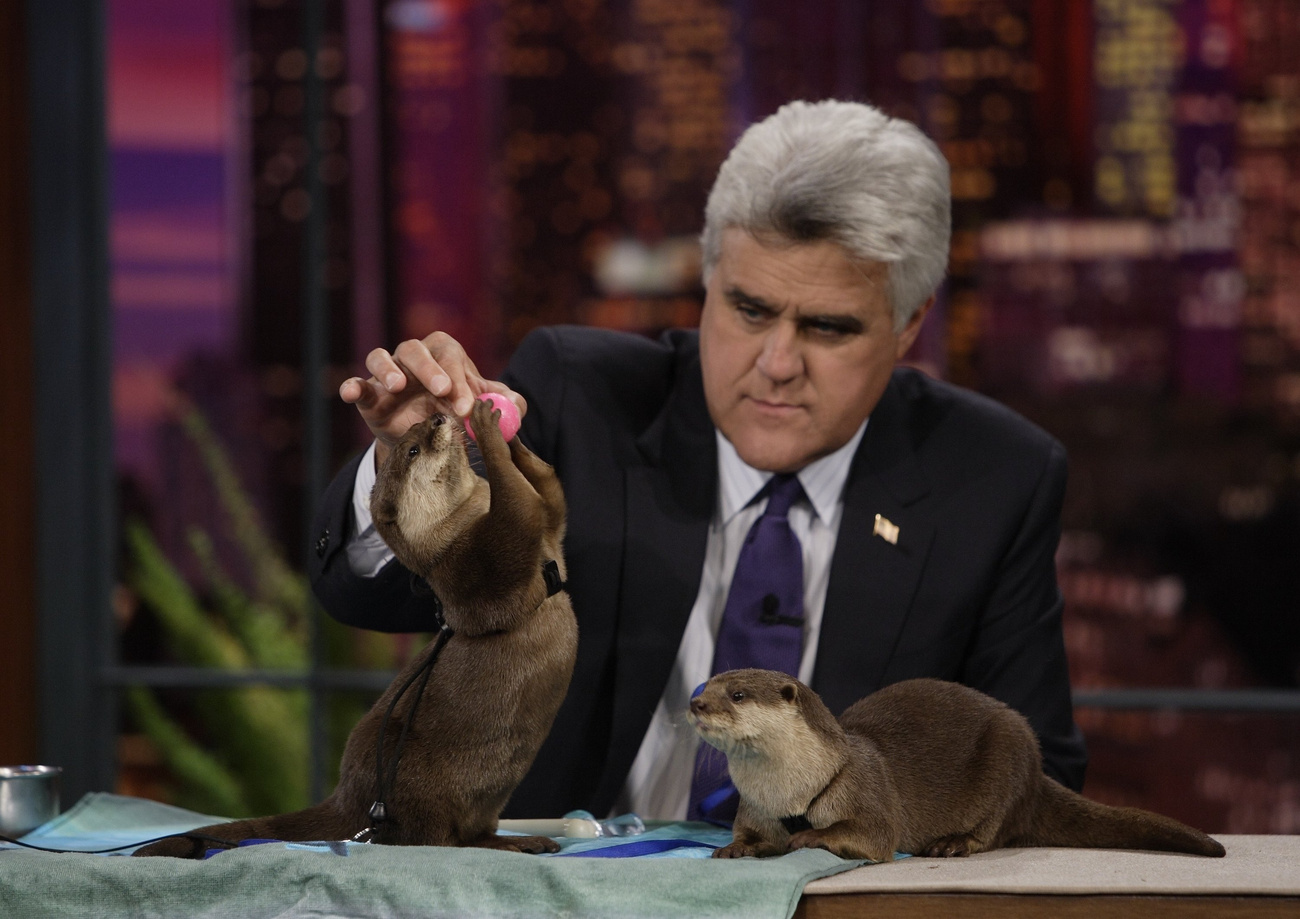 Vidra mézeskalácsszívvel Japánban