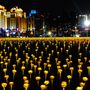 Fényvirágos rét világítja be az éjszakát a kínai nagyvárosban.