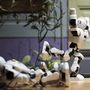 Alpha1e robotok az E.ON Hungária Zrt. által rendezett sajtóreggelin a budapesti Zeller Bistróban 2018. szeptember 21-én.